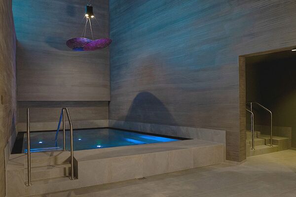 Wellness